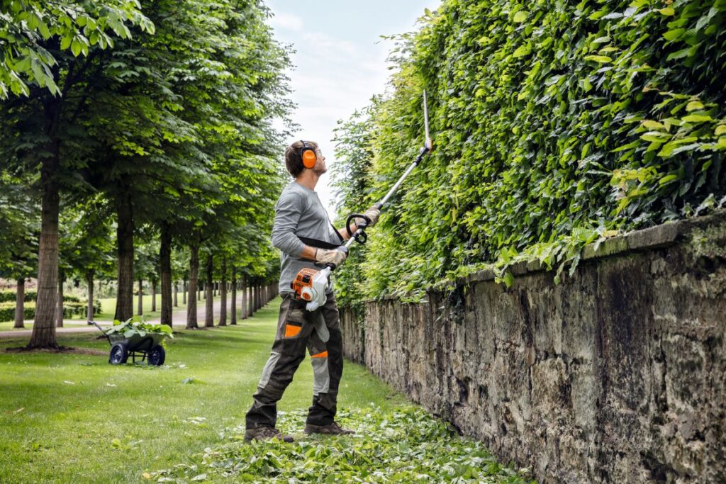 Hedge Trimming Service Near Me