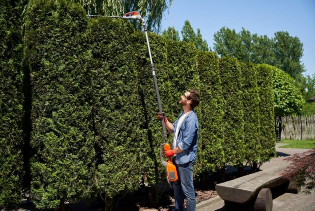 Hedge Trimming Service Near Me
