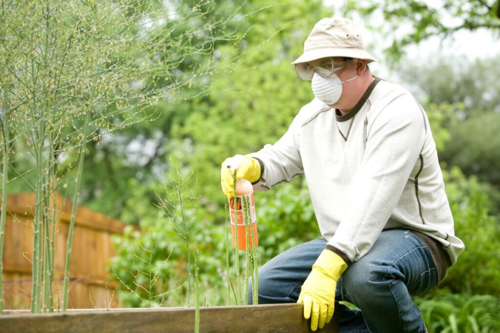 pest control Eastern Suburbs